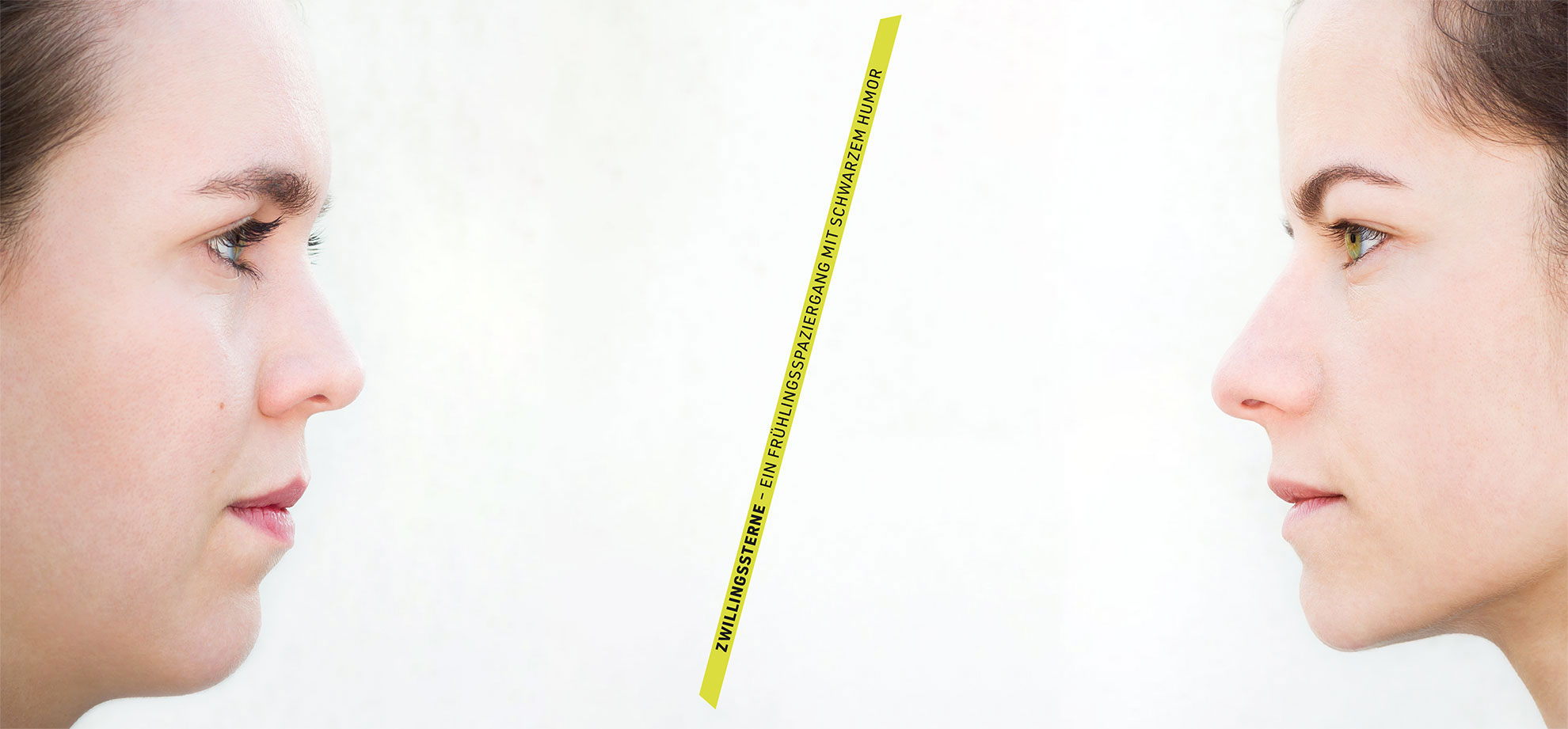sliderbild-zwillingssterne